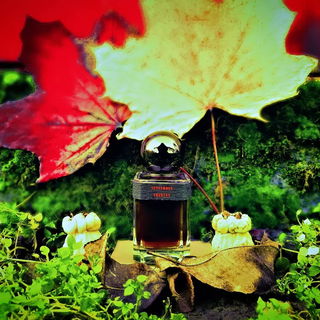 September Country by YS Uzac