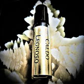 Hölzerne, cremeweiße Tropfwachshöhlenstalagniten aus warmem Eis (von Floyd)