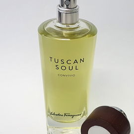 Convivio (Eau de Toilette) - Salvatore Ferragamo