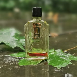 Chypre von Roger & Gallet