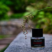 Auf dem Weg durch das schöne Görlitz entstanden, kurz zuvor ein Fliederhain, hier hat er mir aber besser gefallen - vielen Dank für eure Worte und Wertschätzung (by DrHildegard)