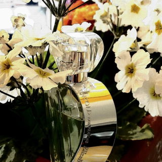 Untold Eau Fraîche - Elizabeth Arden