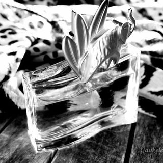 Kenzo Jungle / Jungle L'Éléphant