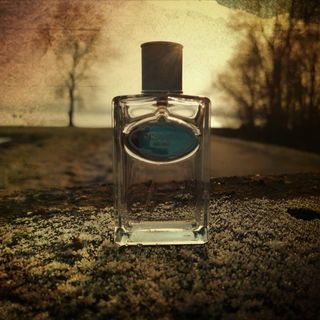 Infusion d'Amande - Prada