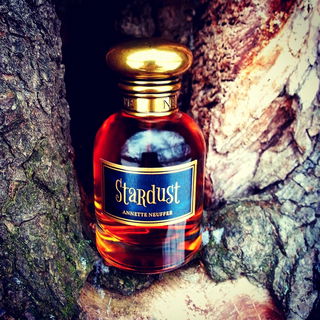 Stardust - Annette Neuffer