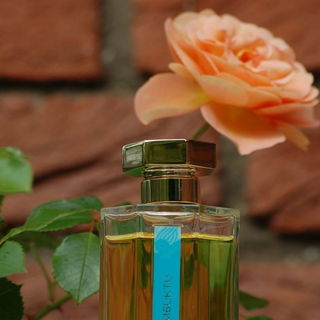 Timbuktu von L'Artisan Parfumeur