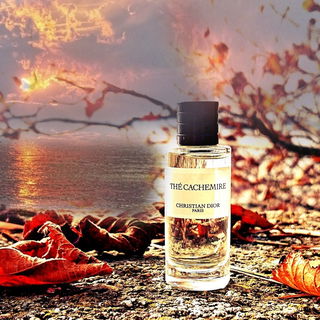 Thé Cachemire - Dior