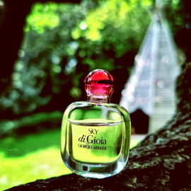 Sky di Gioia - Giorgio Armani