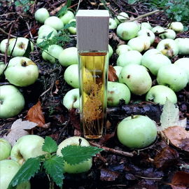 Garden Water - Béjar