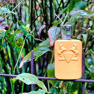 Perseus von Parfums de Marly