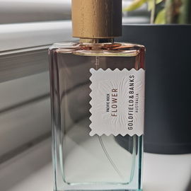 Pacific Rock Flower - Goldfield & Banks