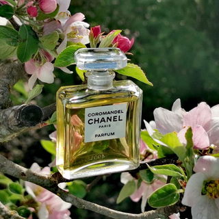 Coromandel (Parfum) - Chanel