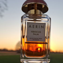 Hibiscus Palm - Aerin