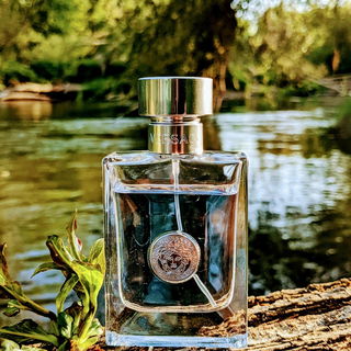 Abendsonne am Fluss 🏞️🌞🌳🌿