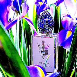 Im Irisrausch (lieben Dank an GreenIvy 😉)