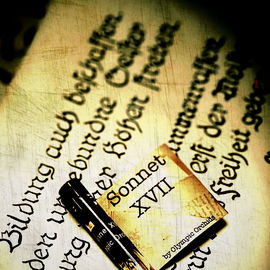 Sonnet XVII - Olympic Orchids Artisan Perfumes
