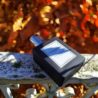 New Matter - Tromborg