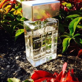 Boss Man / Boss Orange Man (Eau de Toilette) - Hugo Boss