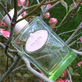 Infusion d'Iris L'Eau d'Iris - Prada