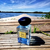 Schon ist der Sommer bald nur noch Erinnerung. Erinnerung weckt Sehnsucht. (by Gandix)