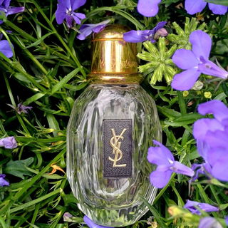 Parisienne (Eau de Parfum) von Yves Saint Laurent