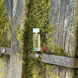 White Tea (Eau de Toilette) - Elizabeth Arden