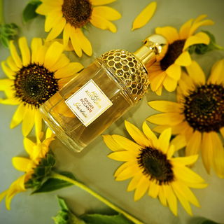 Aqua Allegoria Ginger Piccante by Guerlain