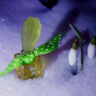 26. Januar 2015 ca. 20:00 Uhr. Fotografiert bei starkem Schneefall.