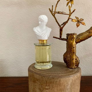 Pure White Cologne - Creed