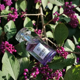 White Musk (Eau de Toilette) - The Body Shop