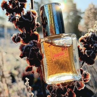 Mondi (Eau de Toilette) von Mondi