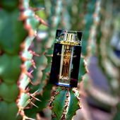 …📷🌍 Thank you. Danke schön. Merci beaucoup. Muchas gracias. Dōmo arigatō gozaimasu 💐… (by Kokusai)