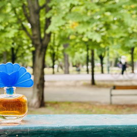 Folies Bergère (Parfum) - Folies Bergère