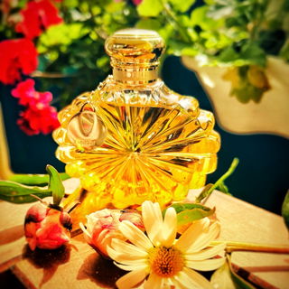 …wie von der Sonne geküsst… vielen lieben 🥰 Dank für eure lieben Kommentare und ein schönes sonniges Wochenende für euch!