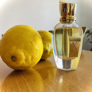 Enigma Aoud (Parfum) - Roja Parfums