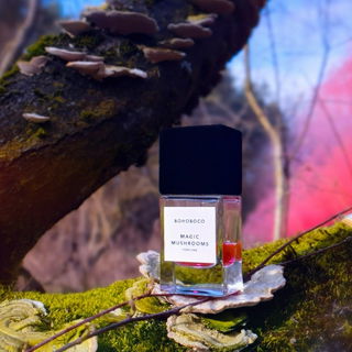 Magic Mushrooms - Bohoboco