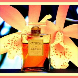 Cattleya - Renoir
