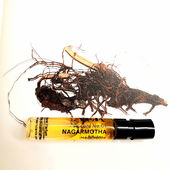 Der Hintergrund zu diesem Foto stammt aus dem Heftchen, das der Hersteller dem Probenset beigefügt hat (#Copyright-Hinweis!). (von CharlAmbre)