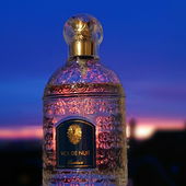 Der Flug durch die Nacht endete im wundervollen Morgenrot .... (von MadameLegras)