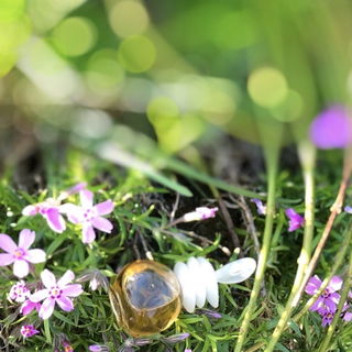 Une Touche de Naf Naf (Eau de Toilette) - Naf Naf