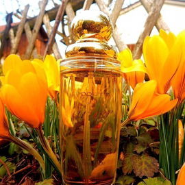 So Pretty (Eau de Parfum) - Cartier