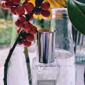 Fig & Lotus Flower - Jo Malone