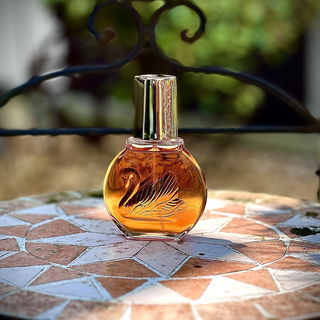 Vanderbilt (Eau de Toilette) - Gloria Vanderbilt