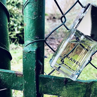 Er wurde mir gestern anvertraut ... Vielen Dank für den Besuch!🫶