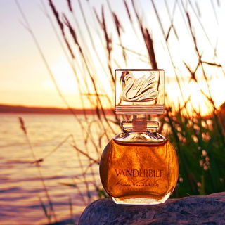 🧡 Ein üppiger Duft, der jeden Sommerabend versüßt 🌾 Lieben Dank 🧡