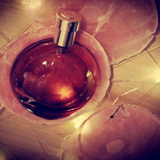 L'Ambre des Merveilles von Hermès