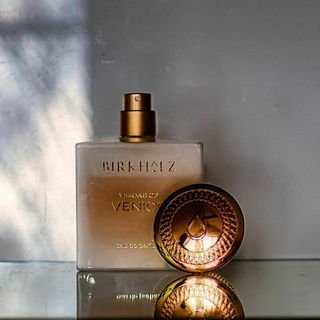 Visions of Venice by Birkholz