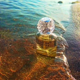 Eau de Rochas (1970) (Eau de Toilette) von Rochas