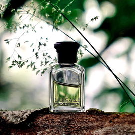 Tuscany per Uomo / Etruscan (Eau de Toilette) - Aramis