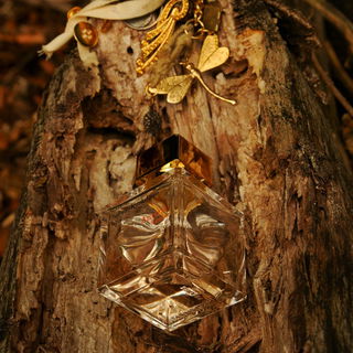 Amyris Femme (Eau de Parfum) - Maison Francis Kurkdjian